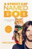 A_street_cat_named_Bob