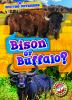 Bison_or_buffalo_