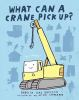 What_can_a_crane_pick_up_