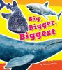 Big__bigger__biggest