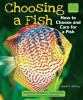 Choosing_a_fish__how_to_choose_and_care_for_a_fish