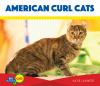American_curl_cats
