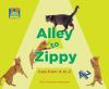 Alley_to_Zippy