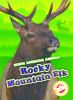 Rocky_Mountain_elk
