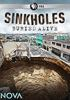 Sinkholes___buried_alive