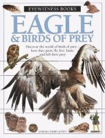 Eagle___the_birds_of_prey