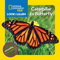 Caterpillar_to_butterfly