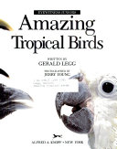 Amazing_tropical_birds