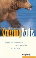 Crossing_paths