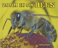 Zoom_in_on_bees
