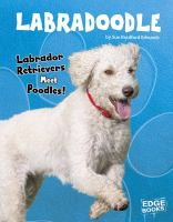 Labradoodle__labrador_retrievers_meet_poodles_