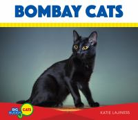 Bombay_cats