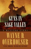 Guns_in_Sage_Valley