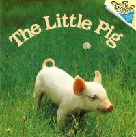 The_little_pig