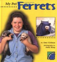 My_pet_ferrets