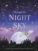 Through_the_Night_Sky