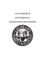 Wildlife_research_report
