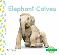 Elephant_calves