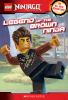 LEGO_Ninjago__Masters_of_spinjitzu
